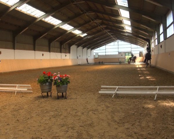 Reitturnier Datteln 2016