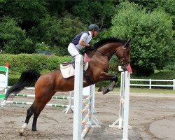 jumper Cleo Soley (Danish Warmblood, 2014, from Boegegaardens Boney M)