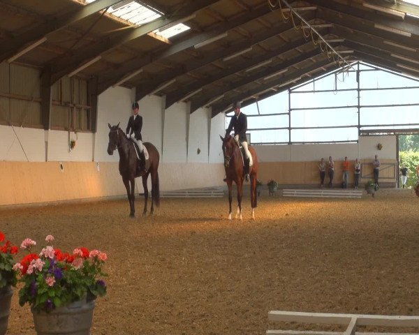 Reitturnier Datteln 2016