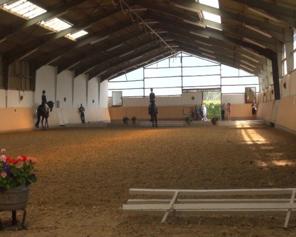 Reitturnier Datteln 2016