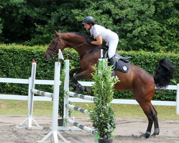 jumper Come And See W (Bavarian, 2013, from Coffee 18)