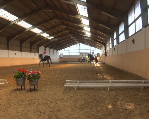 Reitturnier Datteln 2016