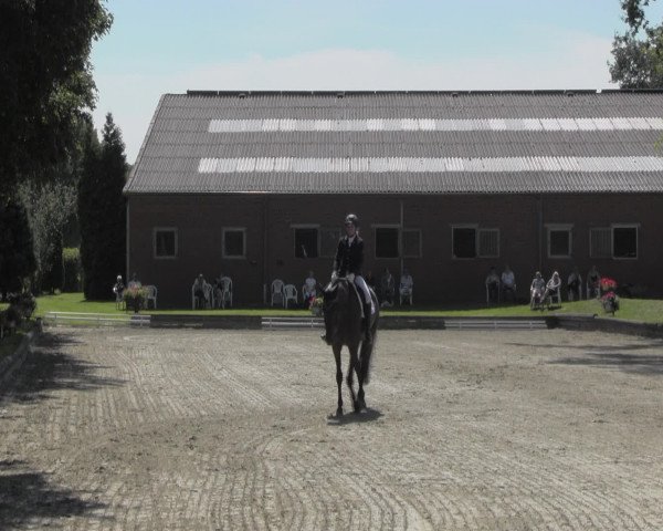 Reitturnier Datteln 2016