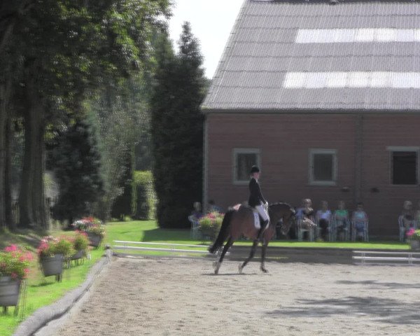 Reitturnier Datteln 2016