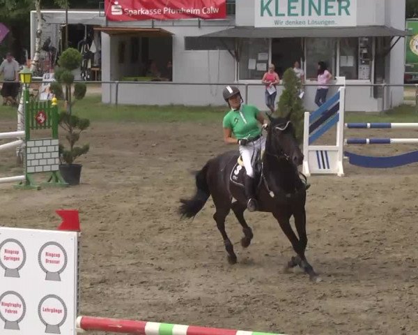 Reitturnier Königsbach 2016