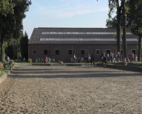 Reitturnier Datteln 2016