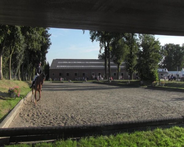 Reitturnier Datteln 2016