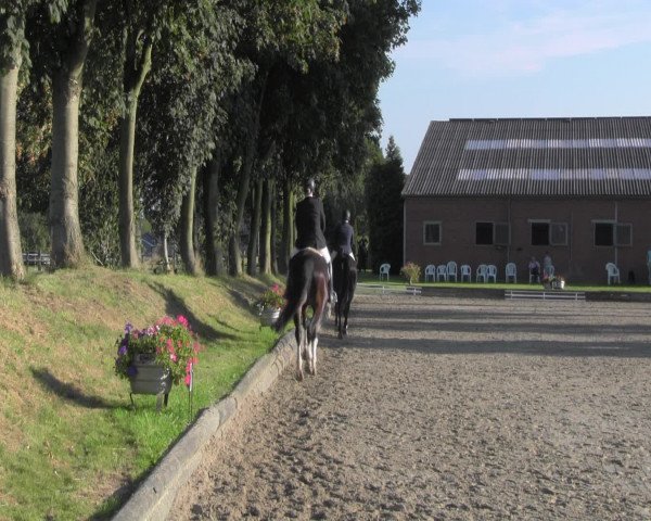 Reitturnier Datteln 2016