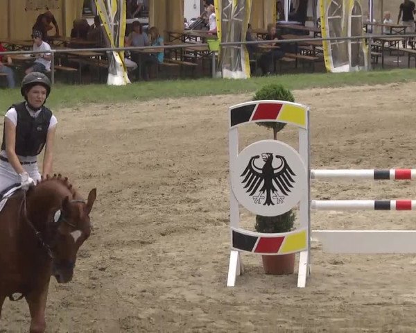 Reitturnier Königsbach 2016
