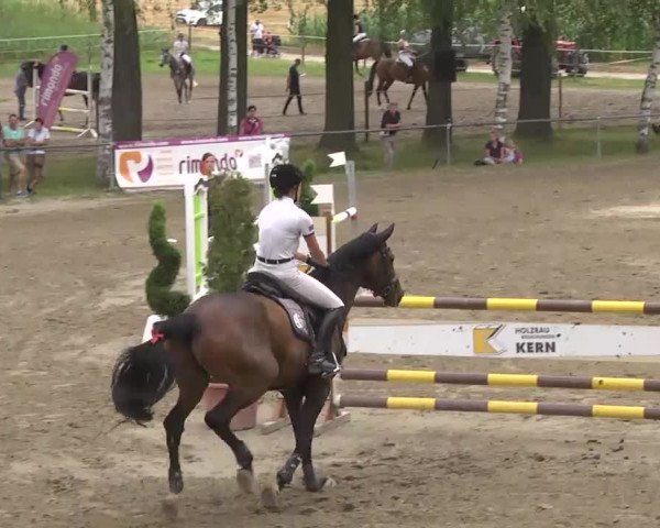 Reitturnier Königsbach 2016