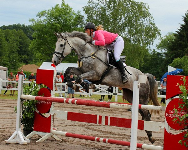 Springpferd Cancun 15 (Holsteiner, 2010, von Cosido)