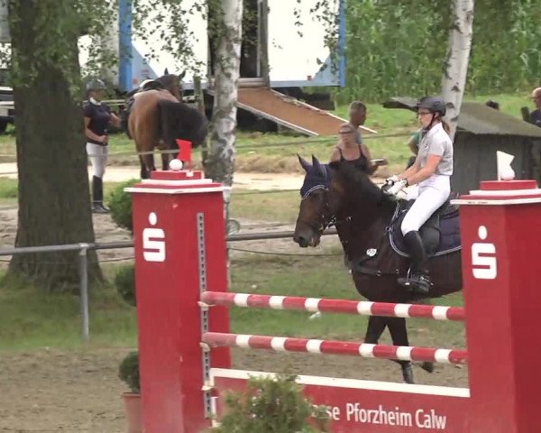 Reitturnier Königsbach 2016