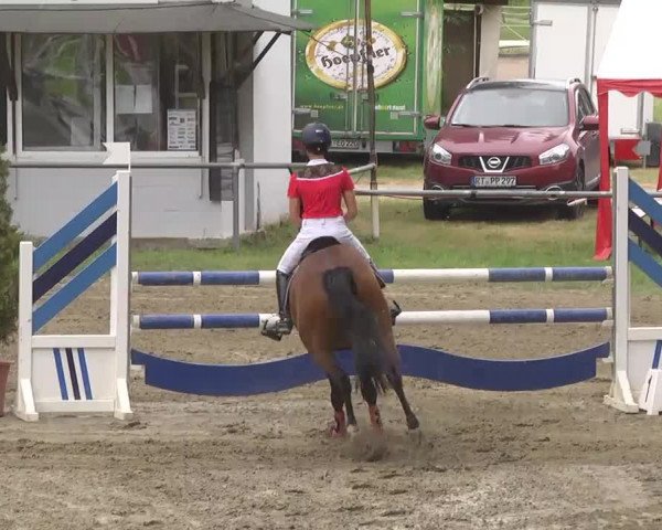 Reitturnier Königsbach 2016