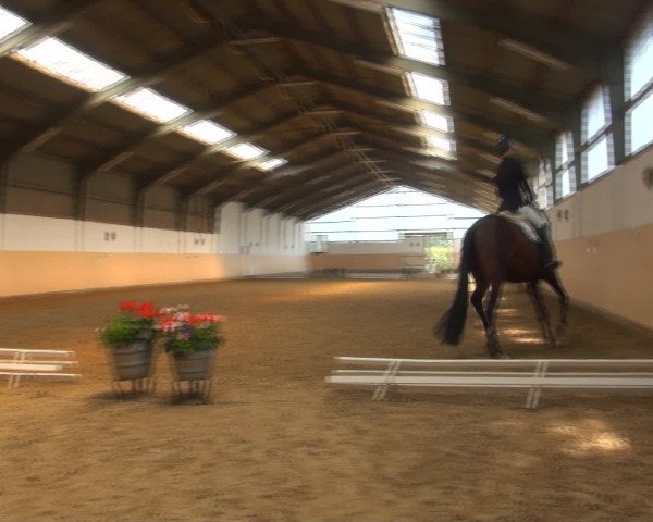 Reitturnier Datteln 2016