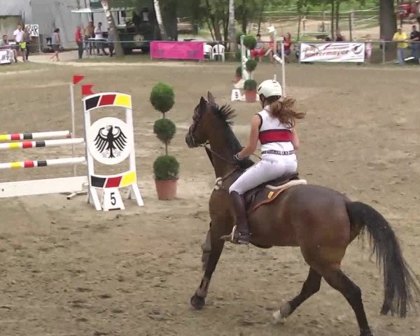 Reitturnier Königsbach 2016