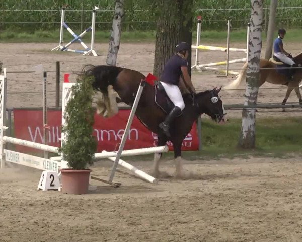 Reitturnier Königsbach 2016