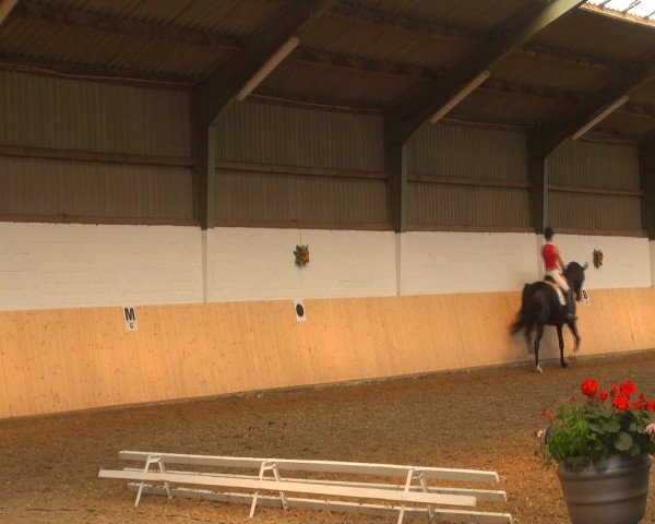 Reitturnier Datteln 2016