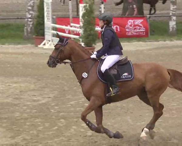 Reitturnier Königsbach 2016