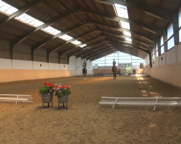 Reitturnier Datteln 2016