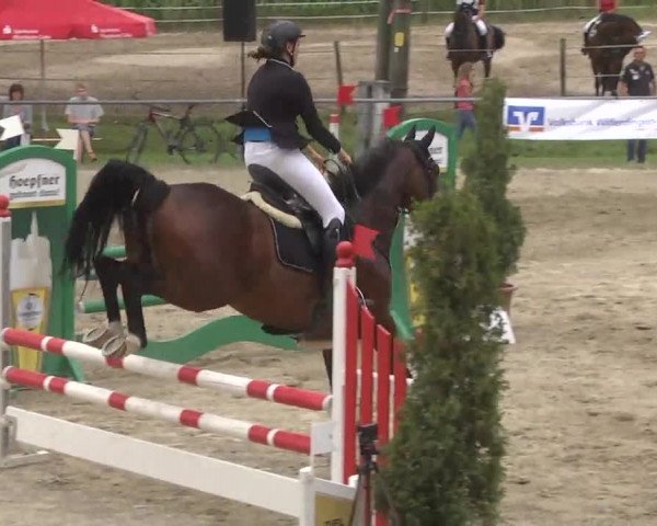 Reitturnier Königsbach 2016