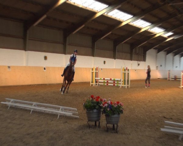 Reitturnier Datteln 2016