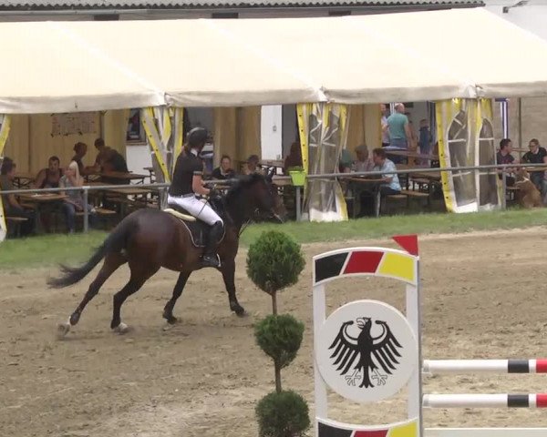 Reitturnier Königsbach 2016