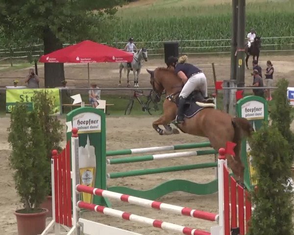 Reitturnier Königsbach 2016