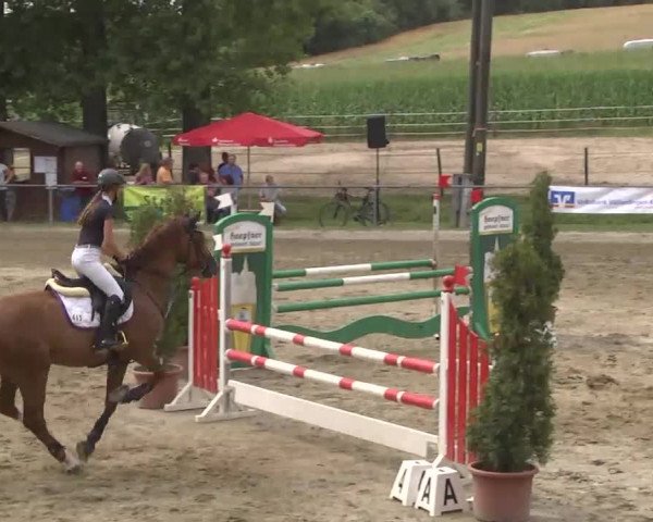 Reitturnier Königsbach 2016