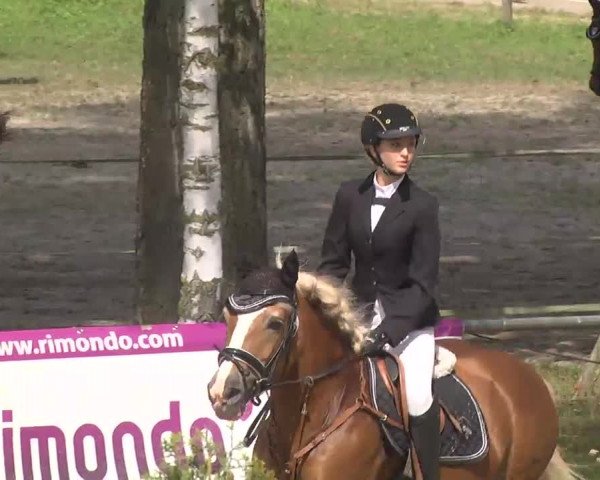 Reitturnier Königsbach 2016