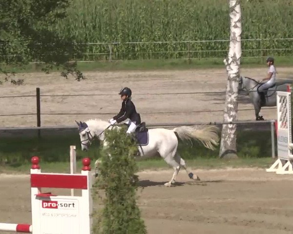 Reitturnier Königsbach 2016