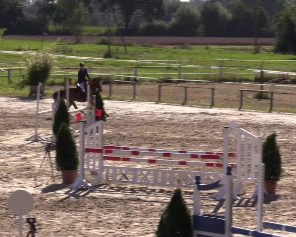 Sommerturnier Altenberge 2016