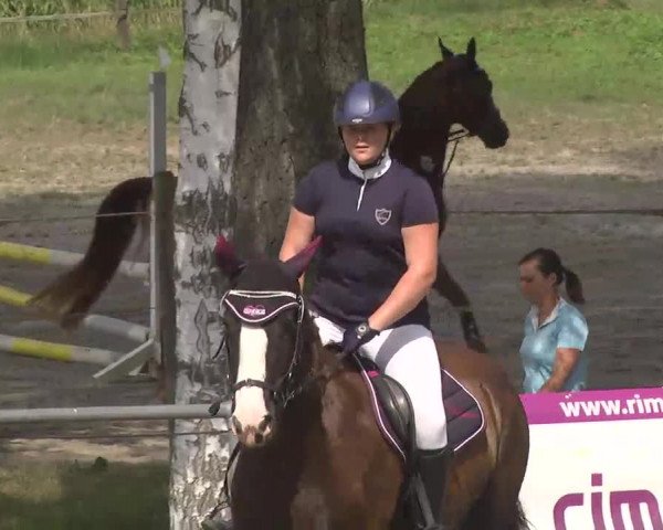 Reitturnier Königsbach 2016