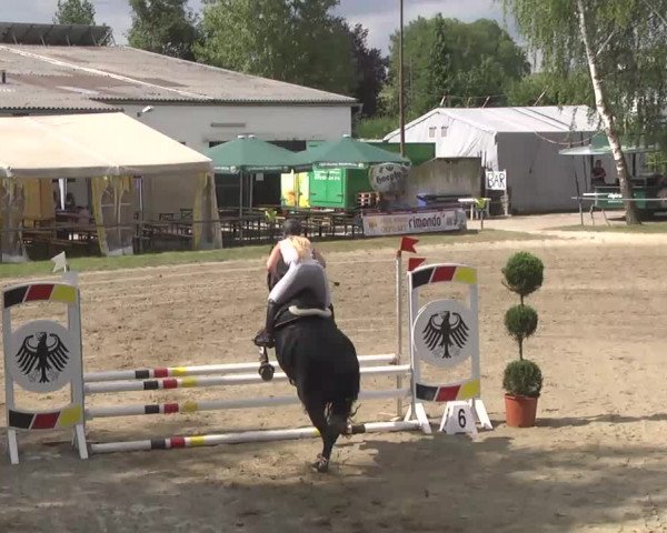 Reitturnier Königsbach 2016