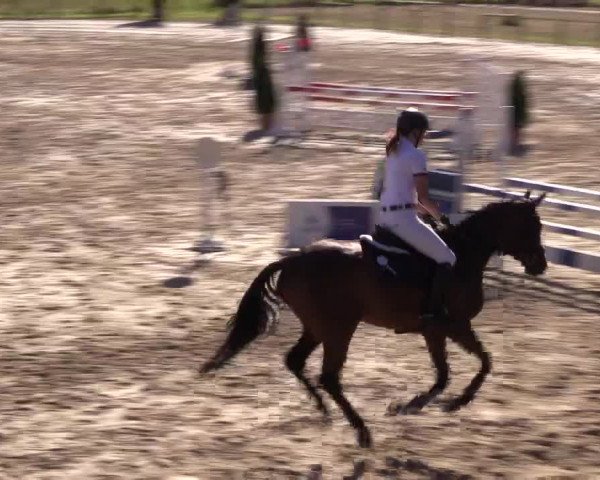Sommerturnier Altenberge 2016