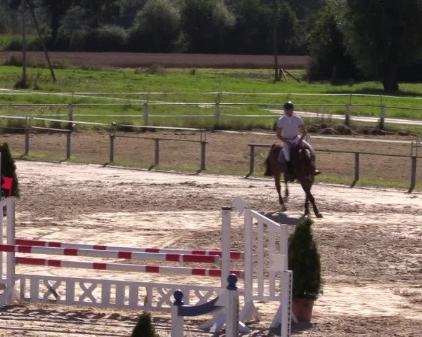 Sommerturnier Altenberge 2016
