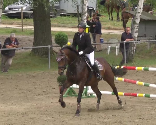 Reitturnier Königsbach 2016