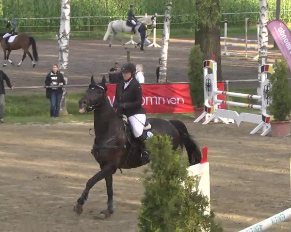Reitturnier Königsbach 2016