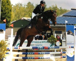 jumper Con Charisma (Hanoverian, 2010, from Christoph Columbus)