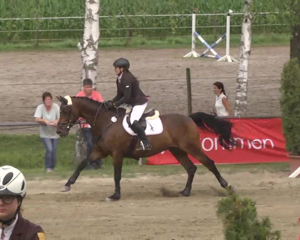 Reitturnier Königsbach 2016
