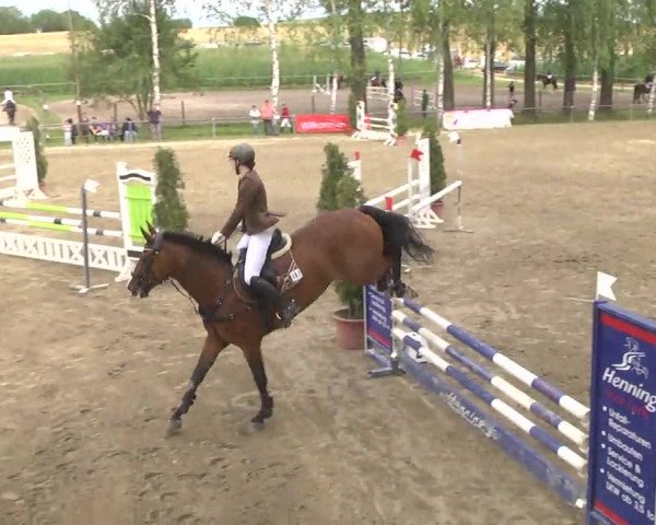 Reitturnier Königsbach 2016