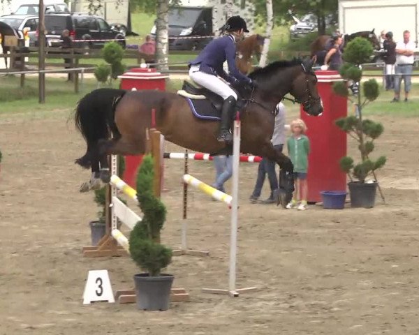 Reitturnier Königsbach 2016