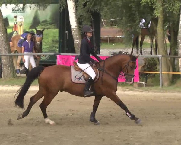 Reitturnier Königsbach 2016