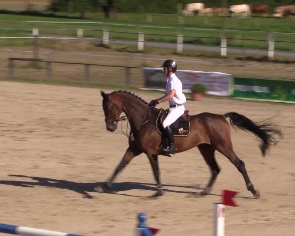 Sommerturnier Altenberge 2016