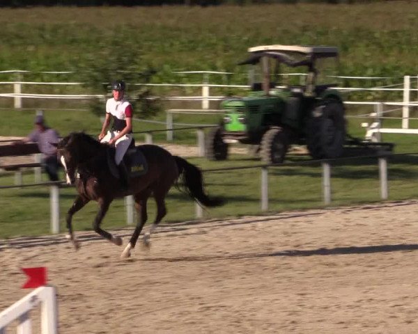 Sommerturnier Altenberge 2016