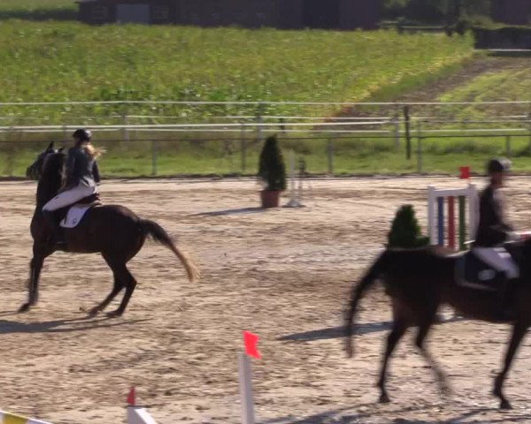 Sommerturnier Altenberge 2016