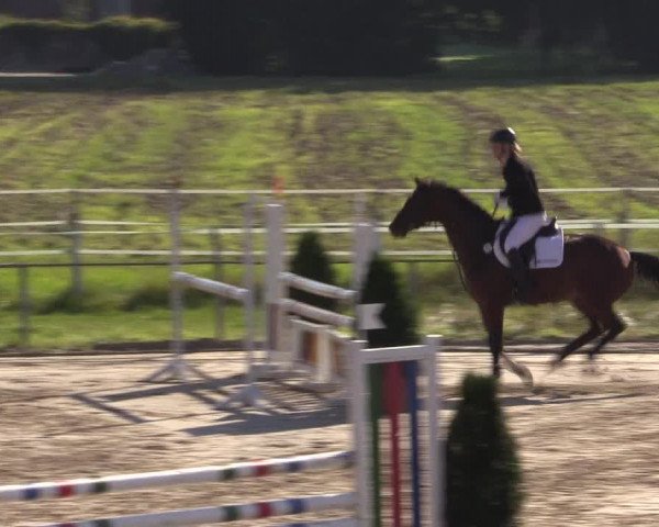 Sommerturnier Altenberge 2016