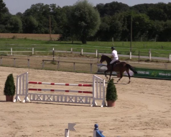 Sommerturnier Altenberge 2016
