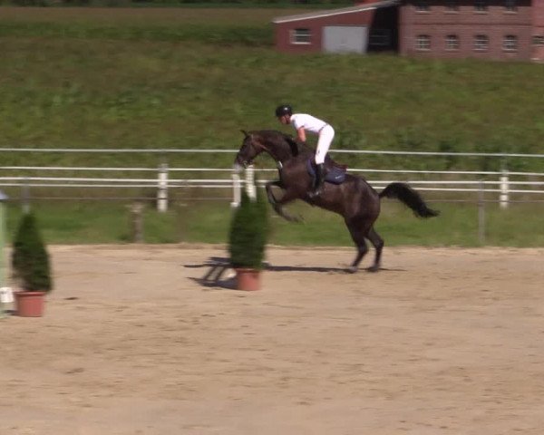 Sommerturnier Altenberge 2016