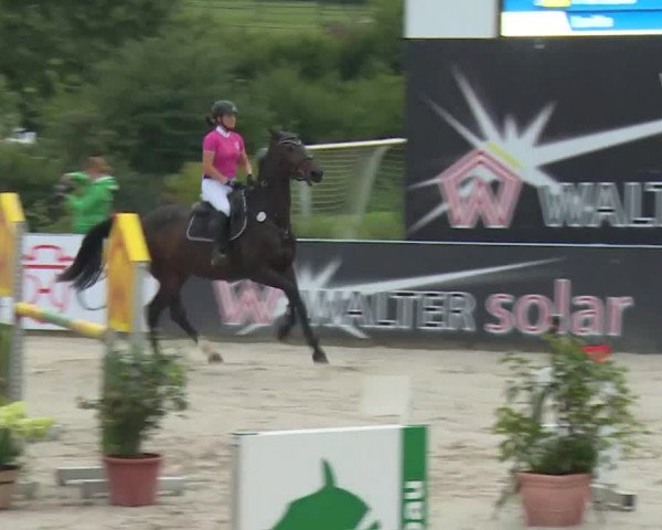 HORSE classics Killingen 2016