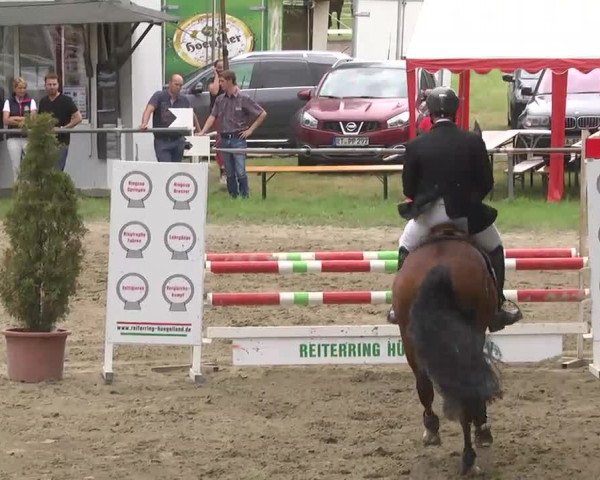 Reitturnier Königsbach 2016